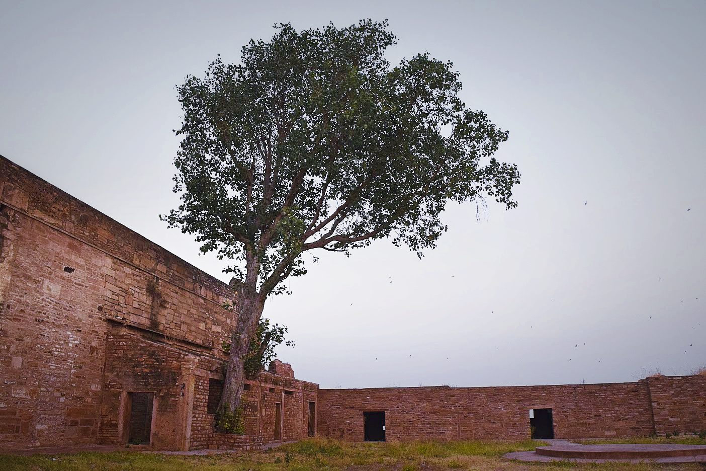 Gwalior, image 17