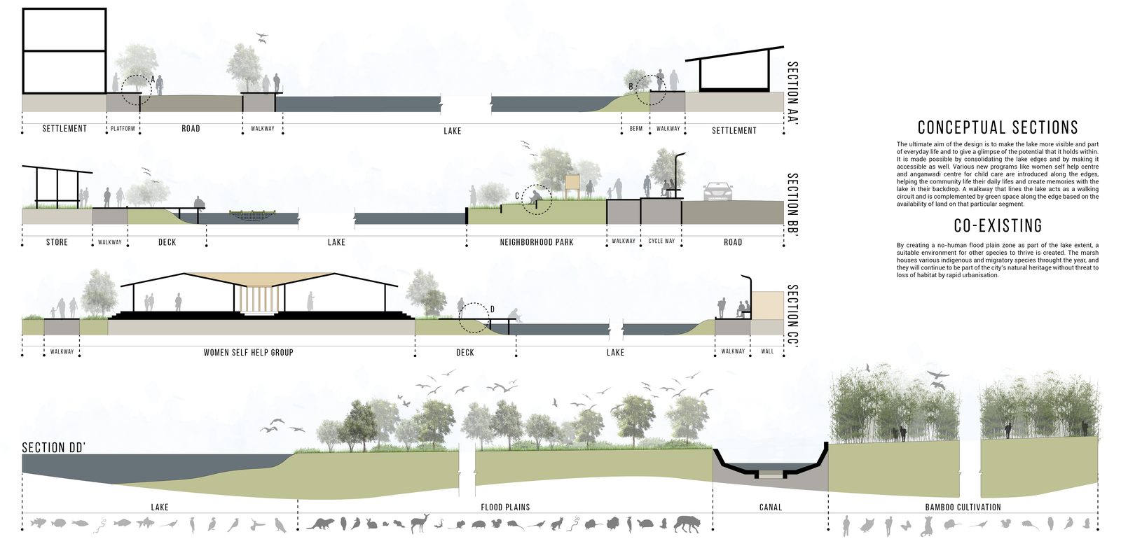Urban Lakes Revitalisation_sections